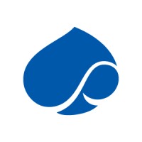 CAPGEMINI POLSKA logo